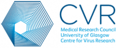 MRC-University of Glasgow Centre for Virus Research: against COVID-19